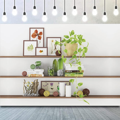 CSFOTO 10x7ft Modern Living Room Backdrop Green Plant Bookcase Office Zoom Backdrop for