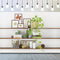CSFOTO 10x7ft Modern Living Room Backdrop Green Plant Bookcase Office Zoom Backdrop for