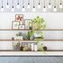 CSFOTO 10x7ft Modern Living Room Backdrop Green Plant Bookcase Office Zoom Backdrop for