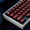114 Keycaps Translucent Red Keycaps, Cherry Profile Doubleshot PBT Keycap Set for 61/64/87/104/108 Cherry MX Switches