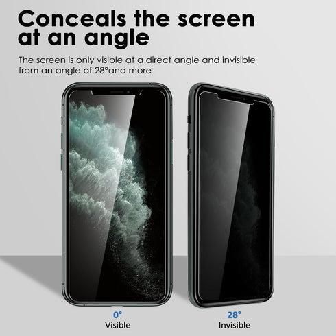 MICHETT CTREEY iPhone XS Screen Protector, Anti-Scratch Tempered Glass Screen Protector for Apple iPhone Xs Max 16.5 inch 2018 Release (Black)