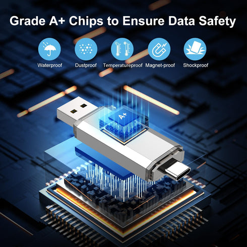 RAOYI 128GB 2 1 3.0 USB C Flash Drive, in USB Type C Dual OTG Metal Thumb Drive Jump Drive Memory Stick with Keychain