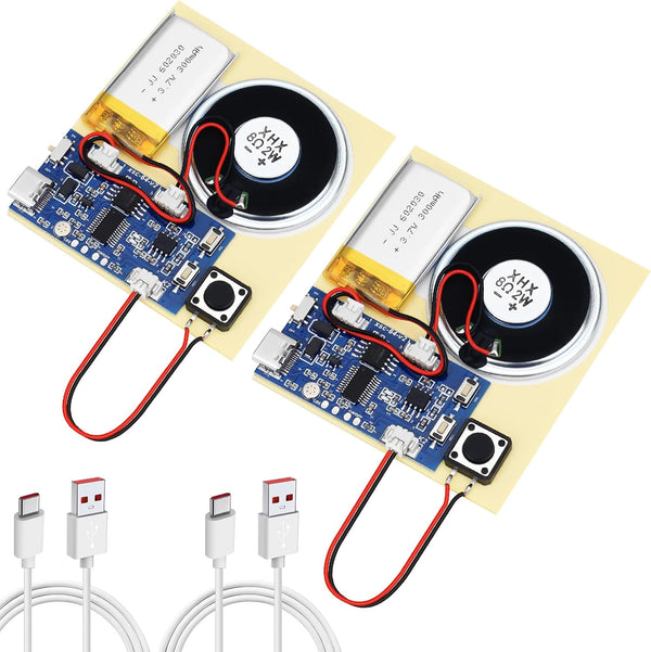 Ransanx 2PCS Sound Recorder Module DIY Music Voice Recording Module Chip with Speaker,Type-C
