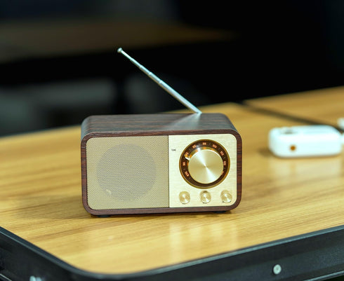 FM Radio with Bluetooth, Vintage Bluetooth Speaker with SD/USB Music Player, Wireless Streaming, Up to 10 Hours Playback