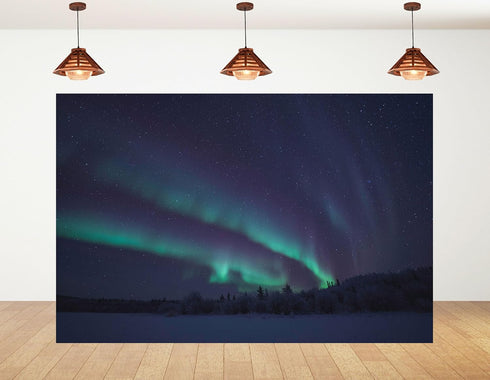 KeyWork 10x7ft Green Aurora Borealis Backdrop Starry Winter Night Scenery Photography Background for
