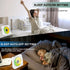 Portable CD Player with Bluetooth, Desktop CD Player for Home with Remote Control, FM Radio, LED Screen