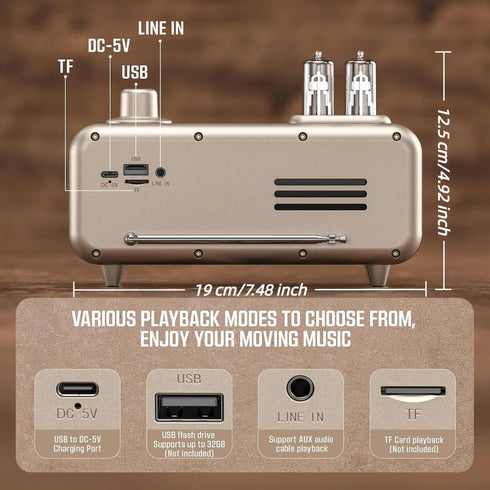 Bingxue Speaker,12/24H Retro Radios FM Portable Bluetooth Small Plug in Vintage Clock Radio with USB/AUX/TF Card