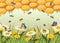 CORFOTO Fabric 10x8ft Honeycomb Bee Backdrop Golden Honeycomb Daisies Butterflies Insects Nature Scene