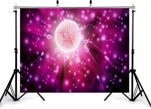 KeyWork 8x5ft Fertilization Science Illustration Backdrop Reproductive Biology Photography Background for Health Fair