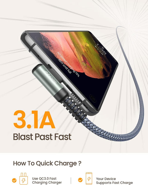 AINOPE 10 ft USB C Cable 2-Pack, Fast Charging 3.1A, Nylon Braided, Right Angle Charger for Galaxy S20 Ultra, S10, S9,