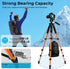 Tripod 75" Camera Tripod, Lightweight Travel Cell Phone Tripod with Wireless Remote, Professional Aluminum Tripod for