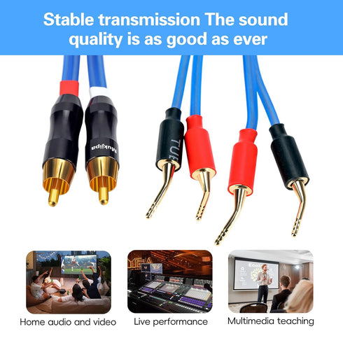 KK Cable V1-W2 18 GAUGE OFC Speaker Wire Pair with RCA Male to 2 Pair Pin Plugs (3M/9.8ft)