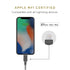 Native Union Belt Cable USB-C to Lightning 10ft, Ultra-Strong Reinforced Cable for iPhone 14, 13 and Earlier (Zebra)