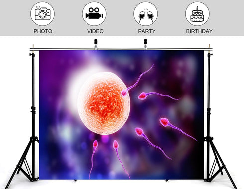KeyWork 7x7ft Human Fertilization Illustration Backdrop Reproductive Science Photography Background for Health Fair