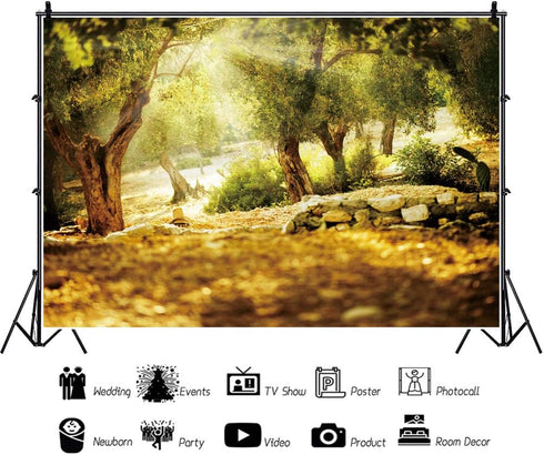 Leyiyi 7x5ft Natural Scenery Backdrop Olive Trees Sunshine Wonderland Dreamy Haze Blurred Background Stone Natural Forest Landscape Video Photo Studio Prop