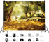 Leyiyi 7x5ft Natural Scenery Backdrop Olive Trees Sunshine Wonderland Dreamy Haze Blurred Background Stone Natural Forest Landscape Video Photo Studio Prop