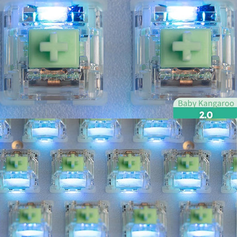 Gateron Baby Kangaroo 2.0 Keyboard Switches, 5-Pin Pre-lubed Heavy Tactile Green Switches for MX Mechanical Keyboards