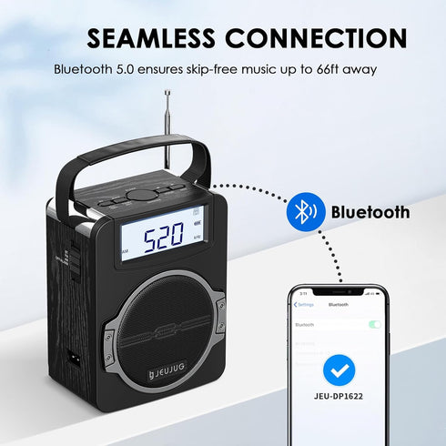 Portable AM FM Digital Radio with Bluetooth, Rechargeable, Loud Speaker, Best Reception for Home Outdoor, Black