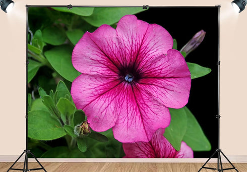 SHDASMIL 10X8ft Fabric Pink Petunia Flower Backdrop Magenta Bloom Garden Background Spring Floral Party Decorations