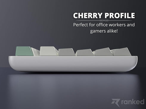 Ranked Blank Premium Keycap Set | 1.4 mm Thick PBT | Cherry Profile for Mechanical Keyboard (9009, 139 Keys)