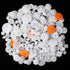 SynHHergyx 200PCS White Plastic Gears Module 0.5 Plastic Single Gear Spindle Small Motor