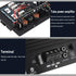 DriSentri 1000W 12V Car Amp Board, Car Audio Amplifier Board, High Power Amplifier Amp Board Powerful Bass Sub woofer