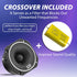STXAudio STX-55TW 3.4-Inch Super Tweeter Speaker, 4 Ohm, 800W Max Power, 105dB Sensitivity, Titanium Diaphragm for Pro