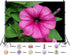 SHDASMIL 10X8ft Fabric Pink Petunia Flower Backdrop Magenta Bloom Garden Background Spring Floral Party Decorations