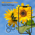 Pehael iPhone 13 Pro Max Privacy Screen Protector (2+2 Pack) - Full Coverage, Anti-Spy, 9H Hardness, Easy Install.