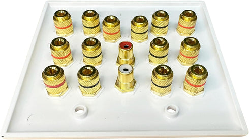 Speaker Wall Plate, 7.2 Home Theater, 2 RCA Wall Plate, Gold Plated Binding Posts for Speaker Setup