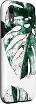 Monstera Deliciosa Swiss Cheese Plant iPhone XR Palm Leaf Monstera Variegata Swiss Cheese Plant Watercolor Case