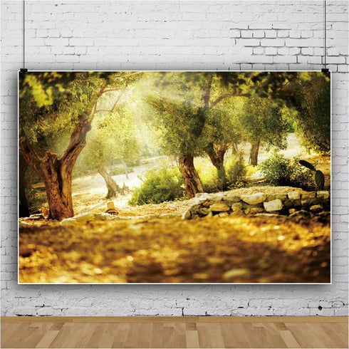 Leyiyi 7x5ft Natural Scenery Backdrop, Olive Trees Sunshine Wonderland Dreamy Haze Blurred Background for Video Photo