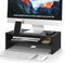 BONTEC Wooden Monitor Stand Riser, 2-Tier Desk Shelf with Storage Organizer, Ergonomic
