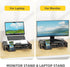 Dual Monitor Stand for Desk, Foldable Riser with RGB Light, Computer Monitor Stand Riser, Desktop Organizers (Black)