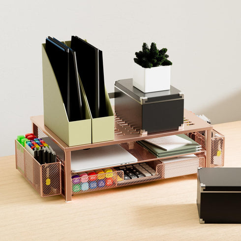gianotter Desk Computer Monitor Stand Riser - Rose Gold Organizer with Drawer and 2 Pen Holders for Office Supplies