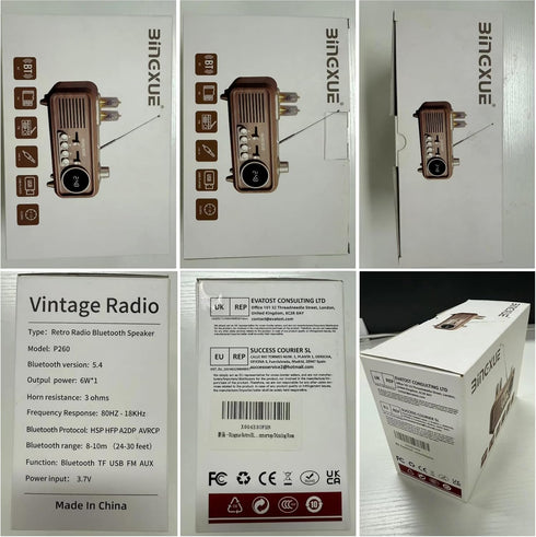 Bingxue Speaker,12/24H Retro Radios FM Portable Bluetooth Small Plug in Vintage Clock Radio with USB/AUX/TF Card