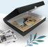 Golden State Art Archival Folio Storage Box 11x14, Clamshell Design with Metal Edge for Preserving Photos, Documents,