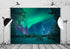 BELECO 10x8ft Fabric Aurora Borealis Backdrop Winter Forest Snowfield Northern Lights Night Sky Background Polar Lights