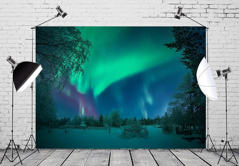 BELECO 10x6.5ft Fabric Aurora Borealis Backdrop Winter Forest Snowfield Northern Lights Night Sky Background Polar