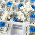 Gateron G Blue Pro 3.0 Switches, 3 Pin Pre Lubed RGB SMD Clicky Switches for MX Gaming Mechanical Keyboard (36PCS, Blue)