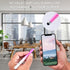 2 in 1 Stylus Pens for Touch Screens, 3 Pcs Stylus Pencil with Transparent Disc & Silicone Tip for All Touch Devices