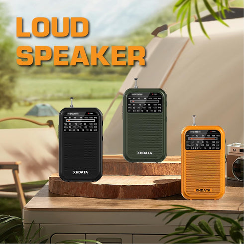 D220 Portable Radio AM FM SW, Battery Operated Radio with Headphone Jack, Excellent Reception Pocket Radio