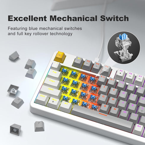 MOFII AK96 Programmable, Mechanical Gaming Keyboard, Full Keys LED Backlit Plug and Play USB A/C Wired Computer Custom