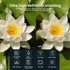 Mini Portable Camera, 1080P HD, Built-in Microphone, Long Lasting Battery Life, Outdoor Sport Action Camera