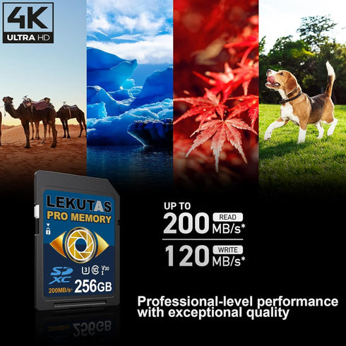 256GB SDXC UHS-I Memory Card - Up to 200MB/s, C10, U3, V30, 4K UHD, Full-HD & 4K Video SD Card for Canon Nikon Sony Pentax Kodak Olympus Panasonic DSLR, Mirrorless Cameras