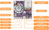 XLW 16MB Sound Module, Push Button, Magnetron, Light Control Activated Recordable Voice Sound Chip Module with LED