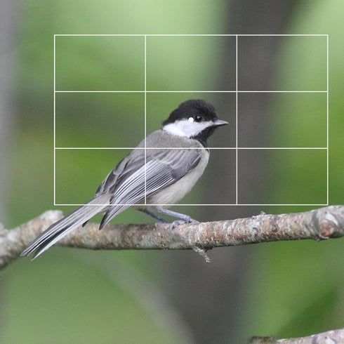 Rule of Thirds Photography Composition Viewer Finder, Portable Enhance Photography/Painting/Drawing View Finder