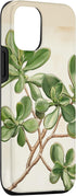 Antique Plant Botanical Art Garden DonaOnca 12/12 Succulent Jade Plant Vintage Scientific Illustration Plant Case