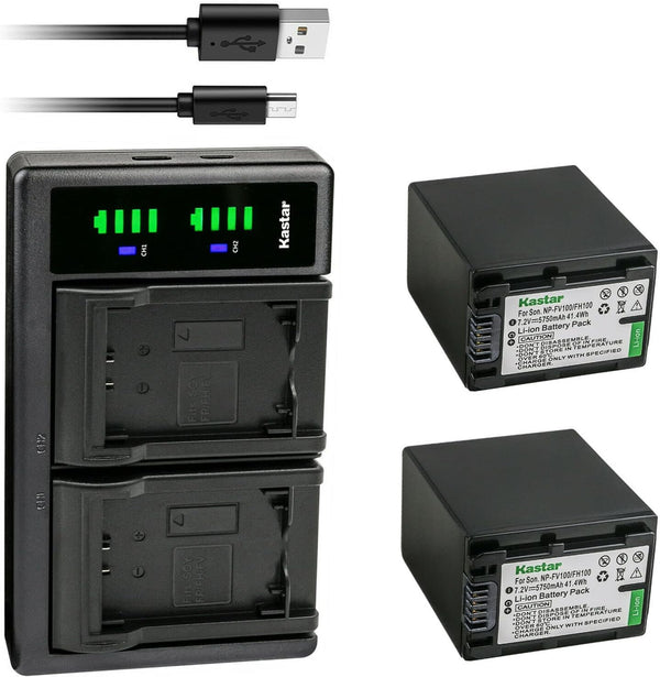 Kastar NP-FH100 Battery 2-Pack and LTD2 USB Charger, Compatible with Sony DCR-DVD610, DCR-DVD650, DCR-DVD703,