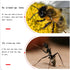 YOFOTIXAUU 46mm 4 (+1 +2 +4 +10) Set, (46mm) Close-Up Lens Filters Kit Pieces Macro Filter Lens Cap & Cleaning Cloth